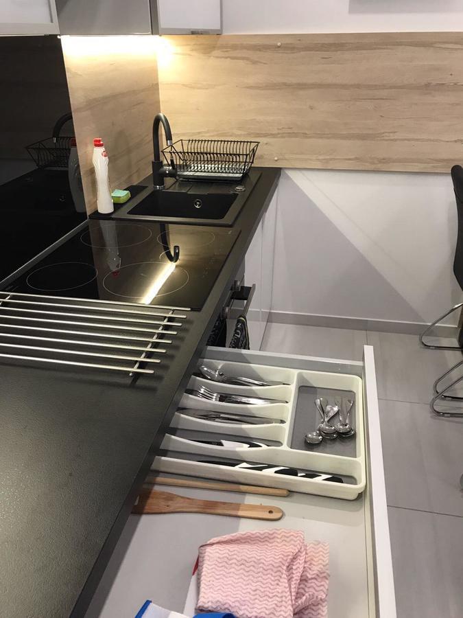 Września Apartamenty Platan Opieszyn 2 מראה חיצוני תמונה
